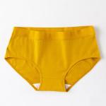Multi Color Women'S High Rise Cotton Underwear ODM Accepatable