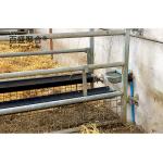 Steel Structure Prefab Farm Building for Cow Barn Sheep/Cattle/Dairy/Goat House