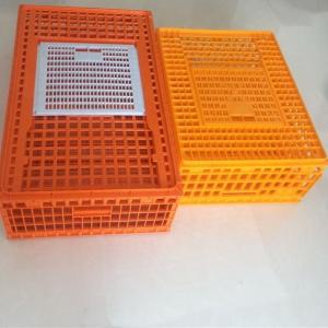 Wholesale Plastic baskets for poultry turnover（Red ，Orange，yellow ） from china suppliers