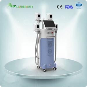 Wholesale CE,ISOCryotherapy slimming machine 4-5cm fat lost after 1 treatment from china suppliers