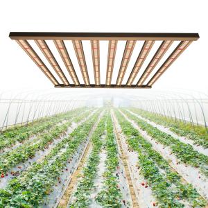 Wholesale Dimmable 1000 Watt Led Grow Light For Horticulture from china suppliers