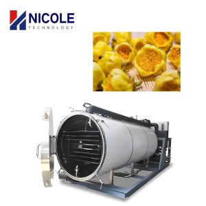 Wholesale Food Fruit And Vegetable Vacuum Pump Freeze Dryer Lyophilizer Customised from china suppliers