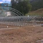 galvanized steel pipe Single-Span Film Commercial Tunnel Plastic Greenhouse for