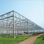 Industrial Insulated Steel Frame Buildings Construction With Metallic Materials