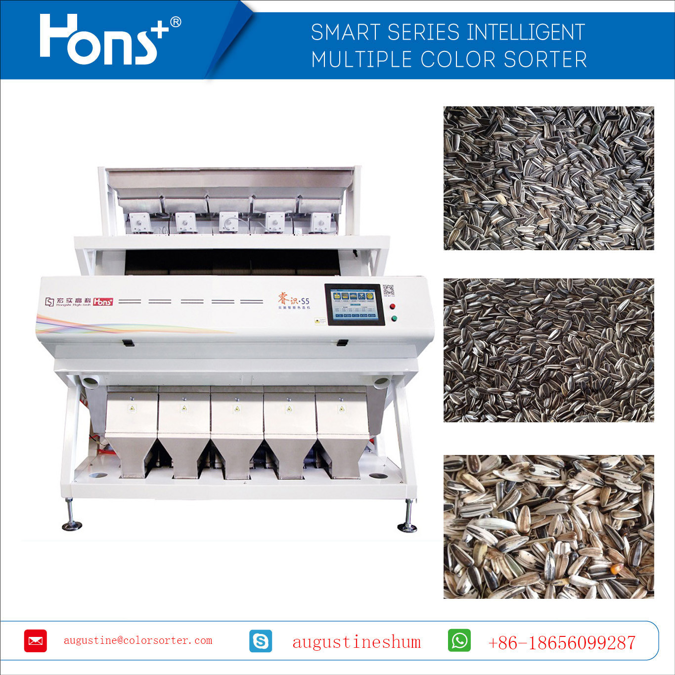 White Body Model S5 Sunflower Seeds Color Sorter Seeds Sorting Machine