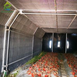 Wholesale Automated Mushroom Growing Light Deprivation Blackout Agricultural Greenhouse from china suppliers
