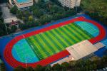 Soccer Artificial Grasses Sports Landscape Indoor Grass For Pets