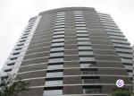 Curtain Wall Aluminium Windows And Doors Low - E Glass For Office Building