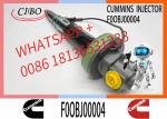 Construction Machinery Parts Fuel Injector for QSK19 Diesel Y431K05429