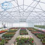 Top Ventilation Window Vegetable Hoop Green House Single Span Greenhouse Film