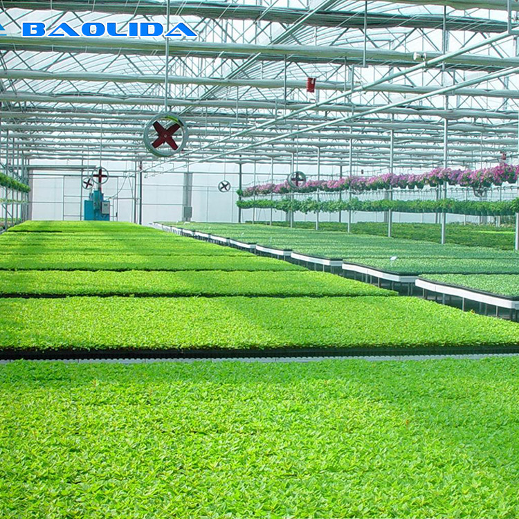 Agricultural Plastic Greenhouse Benches Economical Practical Ebb And Flow