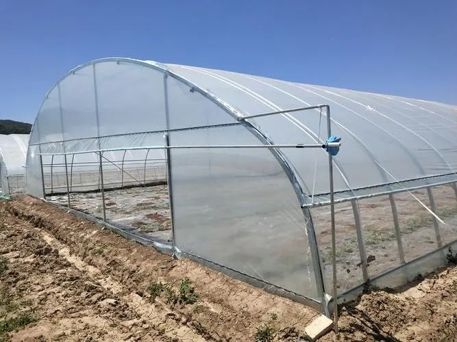 Tunnel Greenhouse for Agriculture and Vegetables