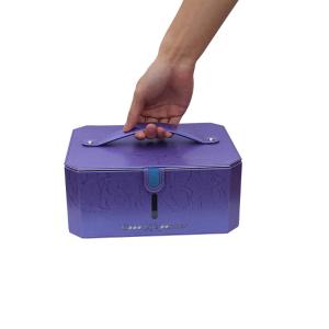 Wholesale Waterproof 5 Minutes 6 Pcs UV LED Sterilizer Bag from china suppliers