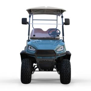 Wholesale 400-500kg Curb Weight 2024 Custom Design Luxury Lifted 2 Passenger Electric Golf Cart With Aluminum Golf Cart Frame from china suppliers