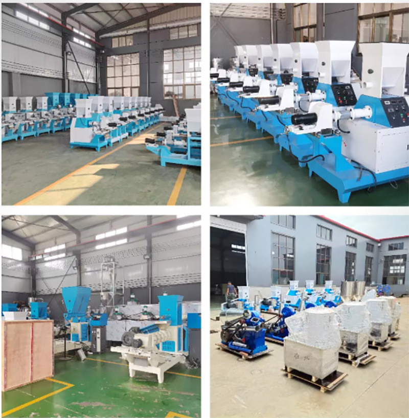 200-300kg/h dog food making machine catfish Tilapia floating fish feed pellet extruder with 1 year of warranty
