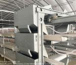 Poultry Farming Equipment Manufacturer 4 Tiers H Type Parent Chicken Battery
