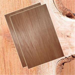 Wholesale Commercial BB CC Grade 1220*2440*18mm Bintangor Plywood from china suppliers