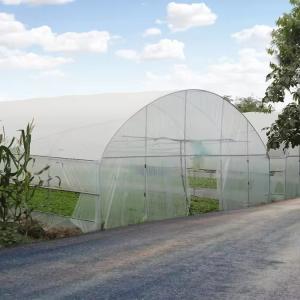 Wholesale Durable Agriculture UV Resistant Plastic Film Greenhouse Equipment For Vegetables from china suppliers