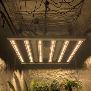Wholesale 35 Centigrade Horticulture Led Grow Lights 480W 6 Pillar 2.6μMol/J Lights Bar from china suppliers