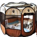 Steel Wire 0.8kg Dog Playpen Fence Double Door Collapsible