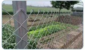 Wholesale 2m Height Garden Iron Wire Mesh 1.5mm Pvc Coated Chain Link Fence from china suppliers