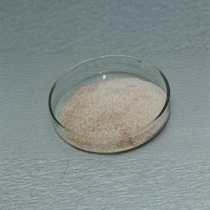 Wholesale Food Grade Flavourzyme Novozymes For Protein Peptide Processing , Weakening Bitterness from china suppliers