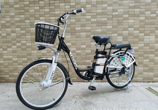 48v 8ah 350w 24 Inch Wheel Electric Bike