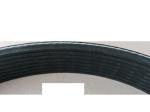 OEM 3015259 Multi Wedge Belt For MITSUBISHI 8PK1645