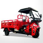 250cc Motorized Adult Tricycles Cargo Petrol Tanzania Motor Tricycle Manufacture