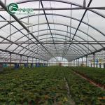 Vegetable Fruits Flowers Tomatoes PC Sheet Greenhouses for Eco-Conscious