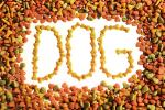 Durable 200-500kg Capacity Animal Food Making Machine To Make Dry Pet Food
