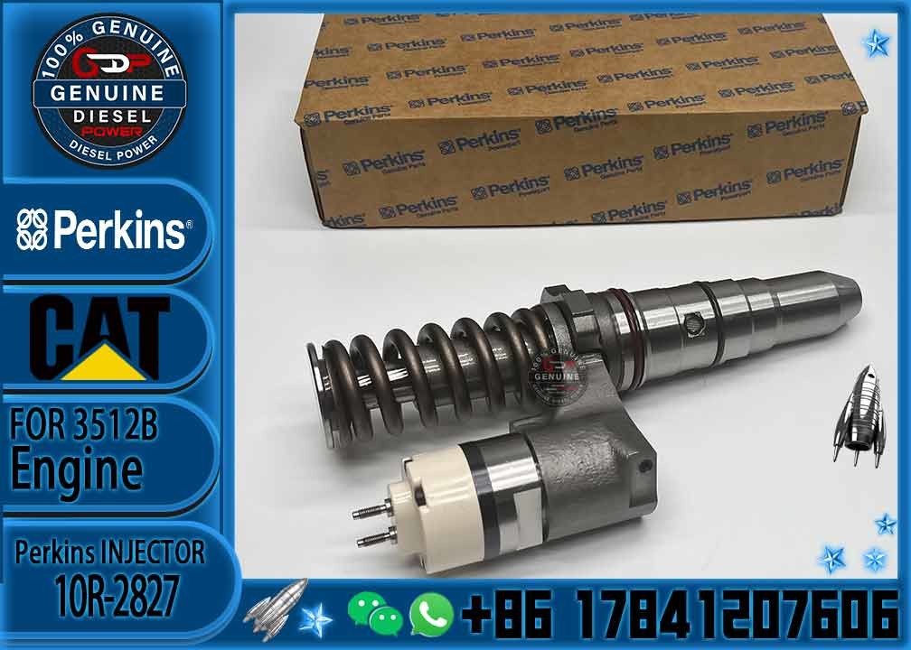 Cat 3152B Engine Injector diesel common Rail Fuel Injector 249-0746 10R-2826 10R-2827 for Caterpillar 3152B