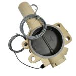 Compair Industrial Air Compressor Spare Parts Safety Valve for Oil and Gas