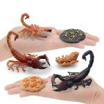 Scorpion Life Cycle Figure Model Toy For Boys Girls Kids