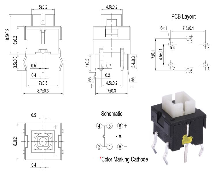 Momentary Illuminated Tact Switch IP40 with PA66 / PPA Actuator