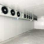 -40 Poultry/Meat/Fish Industrial Blast Freezer Cold Storage Condensing Unit Cold