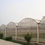 10000m2 Big Span Agriculture Multi Span Greenhouse Plastic Film Green House For
