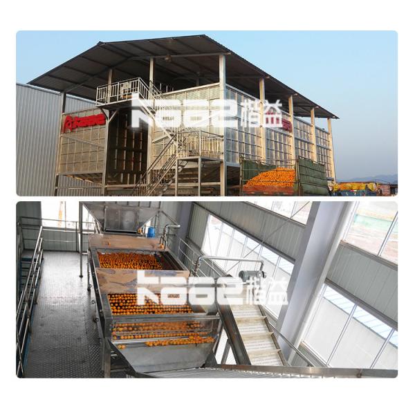 Citrus Orange Sacs NFC Juice Processing Line Lemon Juice Extraction Machine