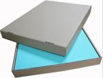 0.05mm 0.5m1.5mm Thickness Bare Magnesium Alloy Plate For Carving AZ31B H-24