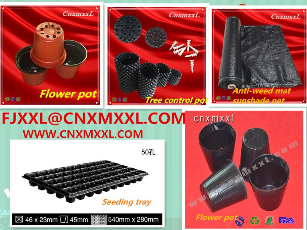 Square seeding plastic blister agriculture tray for flower and tree