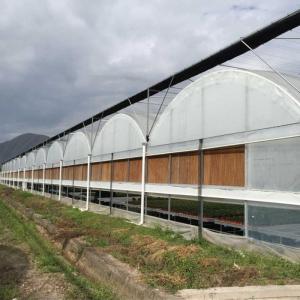 Wholesale Structure Galvanized Steel Low Cost Green House Multi Span Agricultural Greenhouses For Vegetable Tomato Growing from china suppliers