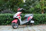 Luxury Adult Scooter Electric Moped Bike 800w High Power With Two Wheel