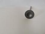 222124A061 D4CB Engine Exhaust Valve 16 Valves 2013/2017 HYUNDAI HR