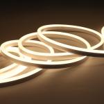 IP68 Underwater Neon Tube 24V TPU Materials Flexible Led Strip For Outdoor