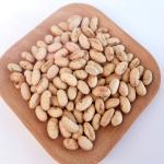 Salted Soaked Yellow Dried Soya Bean Snacks Crispy Taste Rich in High Protein