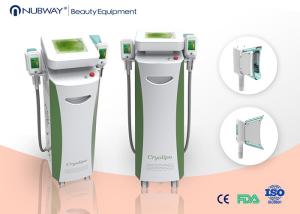 Wholesale Criolipolisis Belly Fats Reducing Cryolipolysis Fat Freeze Slimming Machine from china suppliers