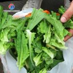 Bean Residue Fruit Vegetable Deoiling Machine Stainless Steel Industrial