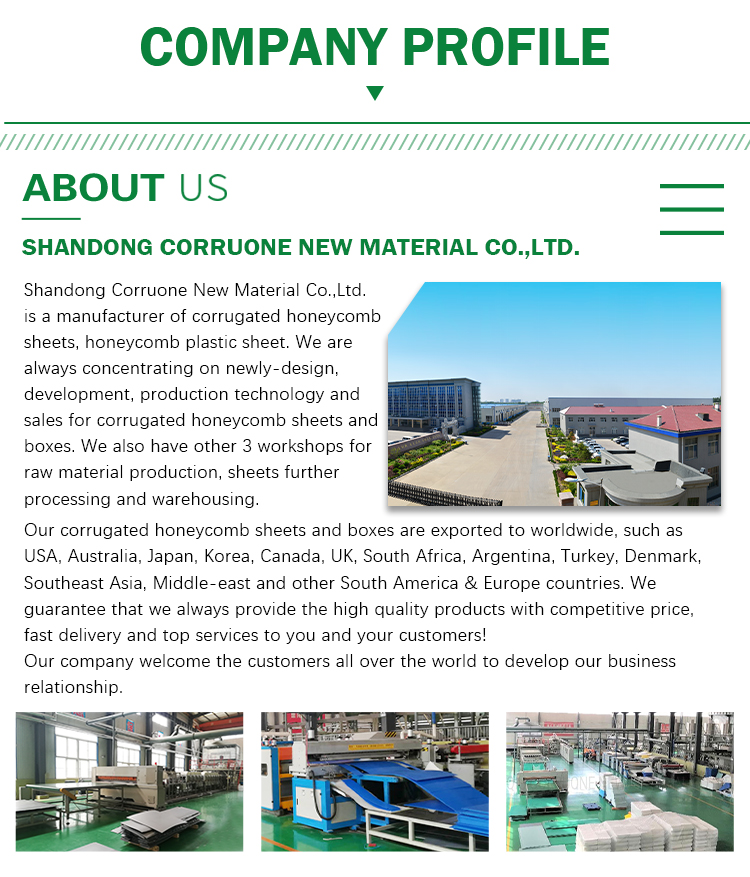 Shockproof 2mm PP Honeycomb Sheet Polypropylene Honeycomb Panels