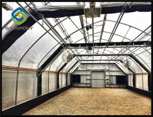 Wholesale 30m Light Dep Greenhouse Hydroponic Growing System from china suppliers