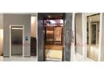 400kg SUS304 Hydraulic Luxury Modern Pitless Residential Home Elevator
